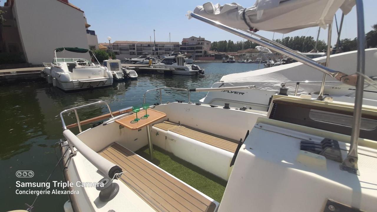 Nuit Insolite A Bord De L'Enata Un Voilier A Quai Sur La Marina De St Cyprien Saint-Cyprien  Exterior photo